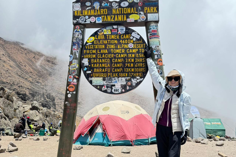 8 Days Kilimanjaro Trekking Adventure, Lemosho Route for all