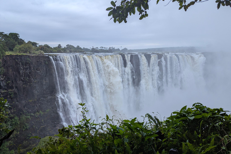 Victoria Falls Half-Day Guided Tour: Zambia & Zimbabwe
