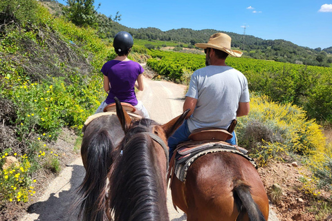 Odkryj wnętrze Walencji na koniu