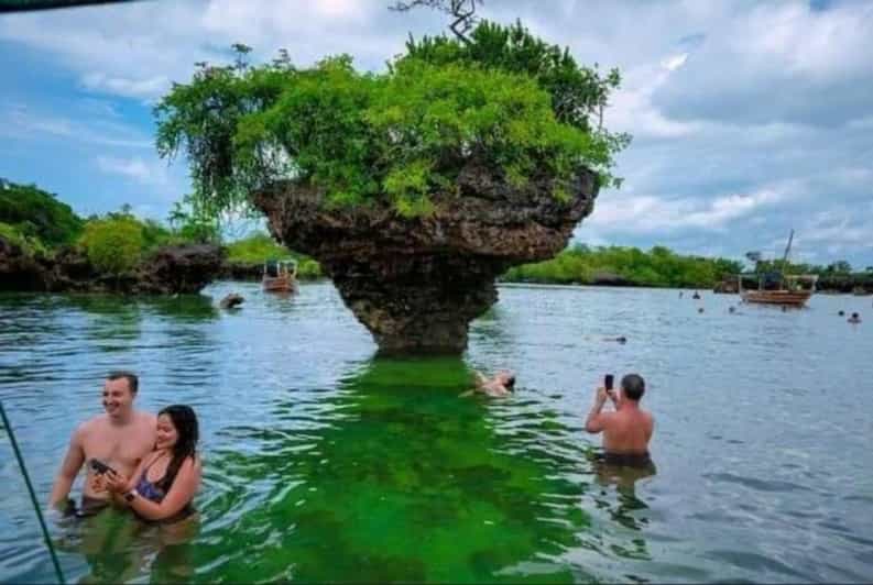 Galería de fotos para redes