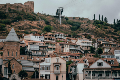 Tbilisi: tour di mezza giornata delle attrazioni principali con degustazioniTour privato