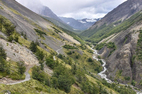 Punta Arenas: Base Torres Hike with Guide &amp; Transport