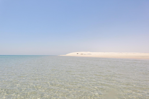 Safari dans le désert et visite privée de la ville de Doha 8 heures