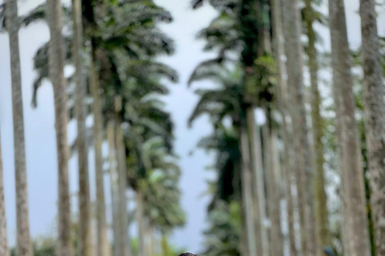 Accra : Aburi Gardens, Cocoa Farm, & Waterfalls Tour