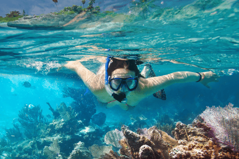 Lombok: Esnórquel privado en 4 puntos de las Gili con cámara GoPro