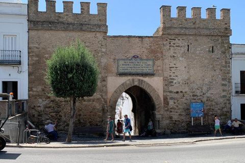 Private Tangier Tour from ferry cruise ship including lunch.