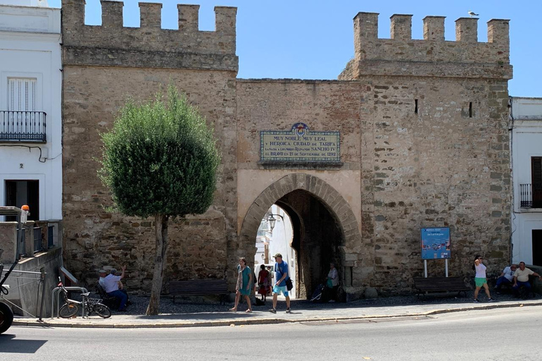 Tour privato di Tangeri da una nave da crociera con pranzo incluso.