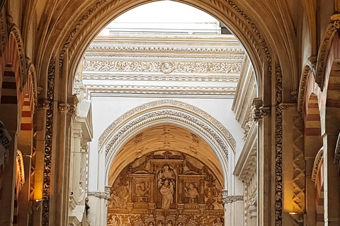 Córdoba: Guided experience in the Cathedral Mosque (TICKETS NOT INCLUDED) Córdoba: Mosque-Cathedral Experience