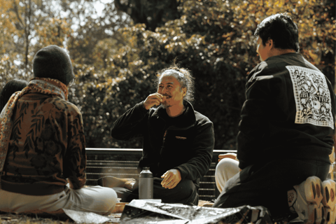 Hong Kong Eco-tourism: Guided Forest Bathing Experience Private Forest Therapy Session