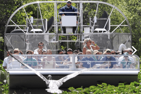 Miami: Everglades Airboat Ride and Tram Tour