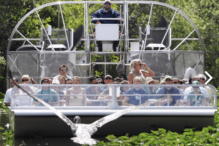 Miami: Everglades Airboat Ride and Tram Tour