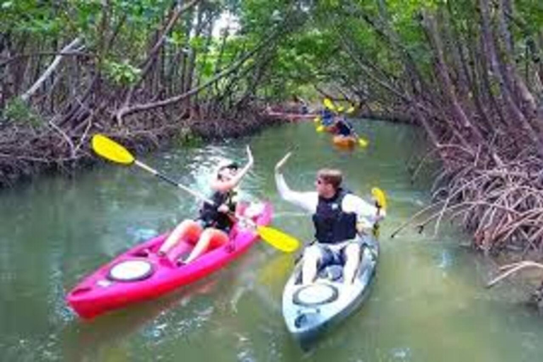 Jozani Forest, Butterfly Center & Kayaking At UZI ISLAND. PRIVATE Tour no Transfer/Transport included