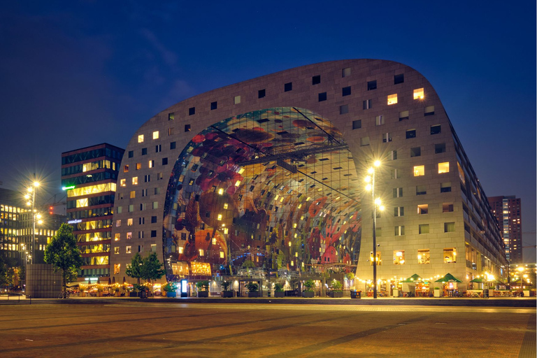 Lo mejor de Rotterdam con un local: Visita a pie y crucero en barco