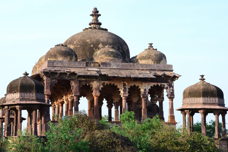 Jaipur: Jeep lub Canter Safari w Parku Narodowym Ranthambore