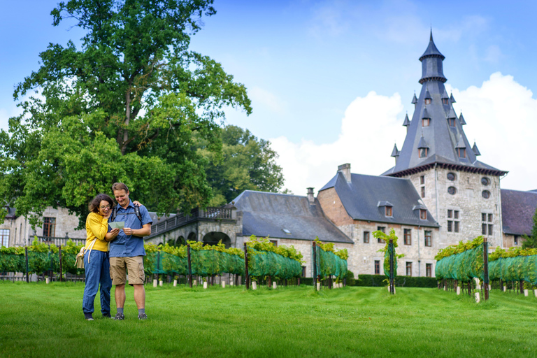 比乌尔（迪南附近）：比乌尔城堡之旅和品酒