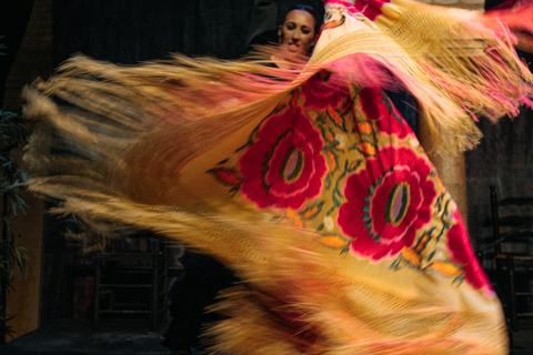 Seville: Enjoy a class of approach to flamenco