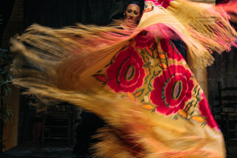 Seville: Enjoy a class of approach to flamenco