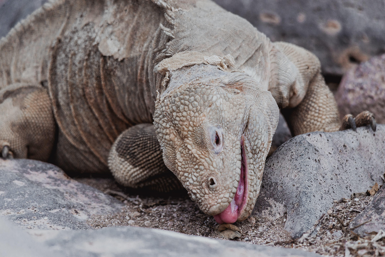 Tagestour Santa Fe mit Schnorcheln + Playa Escondida