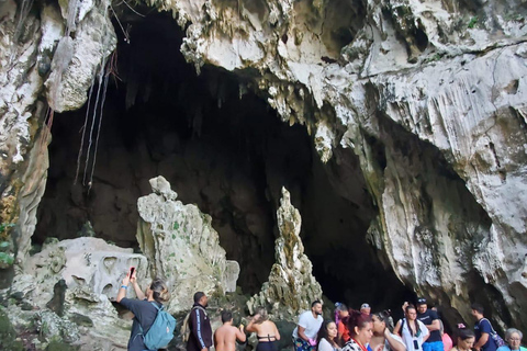 Puerto Plata: Samana, Bacardi Island, and Los Haitises Tour