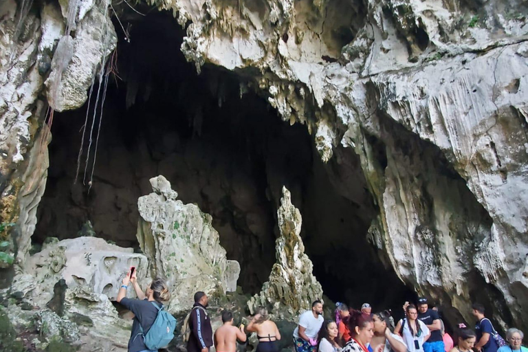 Puerto Plata: Samana, Bacardi Island, and Los Haitises Tour