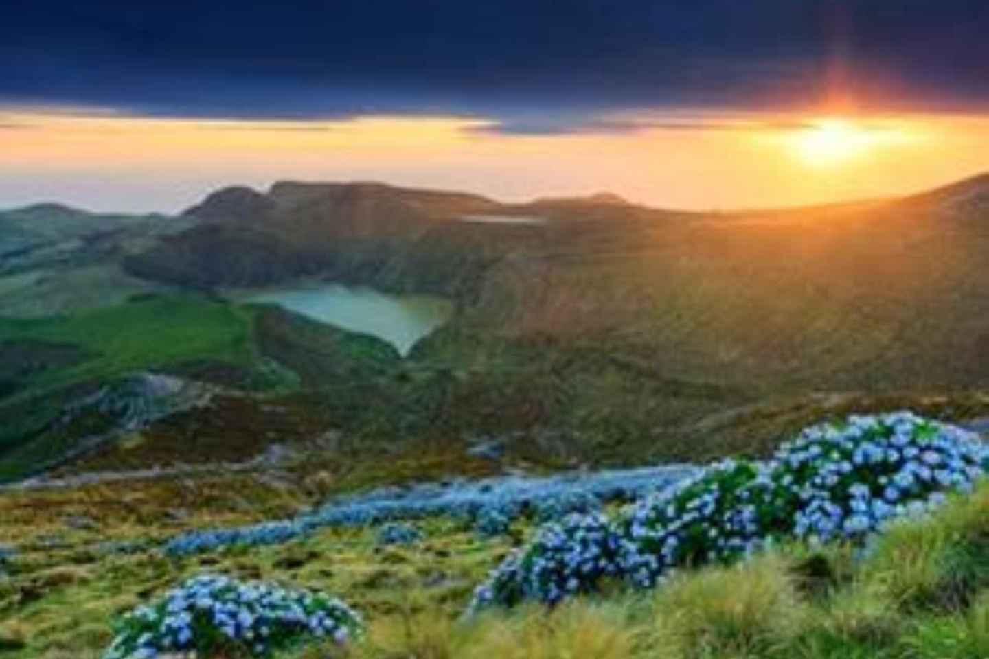 夢の島を巡る完全ガイドツアー