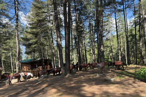 From Kathmandu: 3-Day All-Inclusive Bhutan Tour with Flights