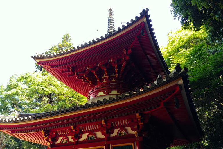 Nara: Führung durch den Hozan-ji-Tempel mit Seilbahnfahrt
