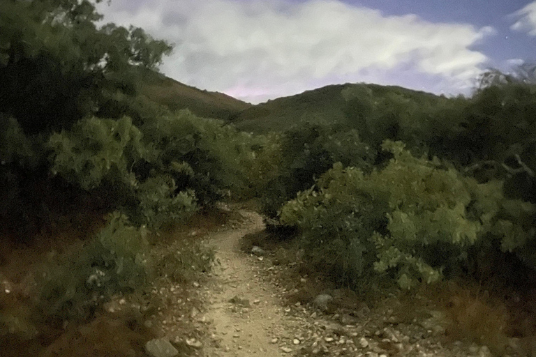 25 Min. from Oaxaca: A Scenic Hike Above the Central Valleys