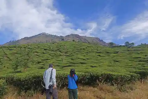 Munnar Nature Walk