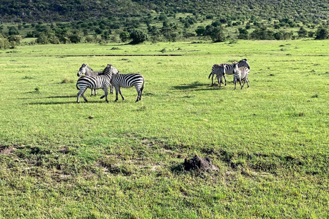 Nairobi: 3-Day epic trip to Maasai Mara Reserve with meals 3 days, 2 nights private safari to Mara in a tourist VAN