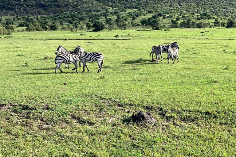 Nairobi: 3-Day epic trip to Maasai Mara Reserve with meals 3 days, 2 nights private safari to Mara in a tourist VAN