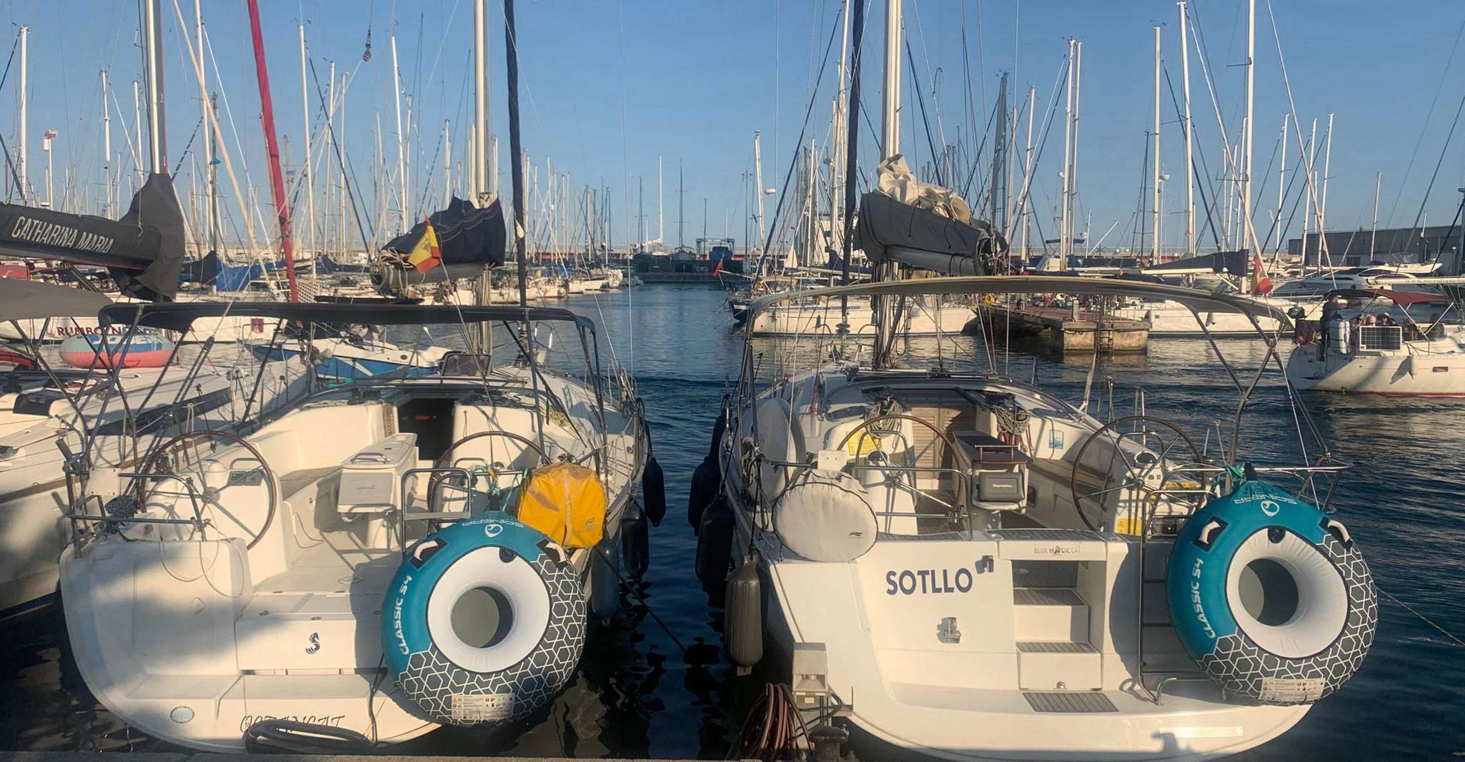 Barcelona: Daytime or Sunset Cruise with Drinks photo 11