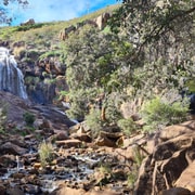 Perth: Waterfalls, Wildflowers & Wandoo Hiking Experience Perth: Waterfalls, Wildflowers & Wandoo Hiking Experience