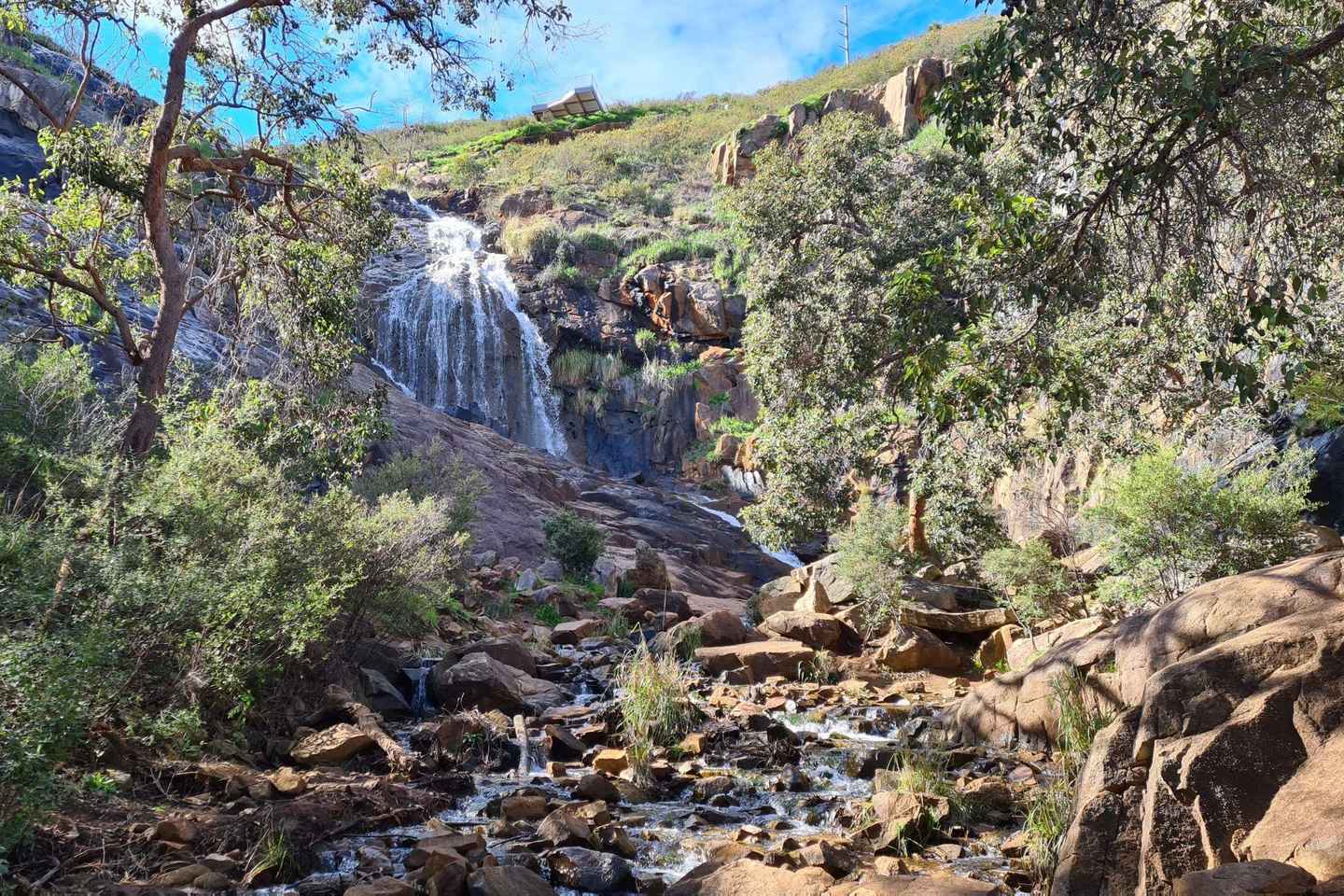 Perth: Waterfalls, Wildflowers & Wandoo Hiking Experience - Perth: Waterfalls, Wildflowers & Wandoo Hiking Experience