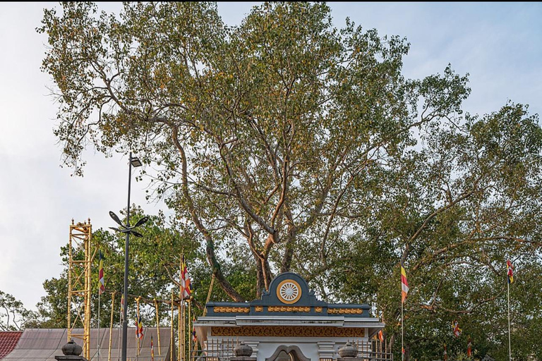 Explore Sri Lanka in 4 Days – Culture, Nature & Adventure