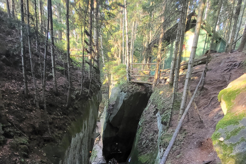 Descobre a Transilvânia: Castelo de Bran e viagem de um dia a BV a partir de SibiuDescobre a Transilvânia: Castelo de Bran e Viagem de um dia a BV a partir de Sibiu