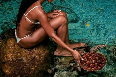 Sansibar: Schwimme mit Schildkröten &amp; transparentem Kajak mit Drohne