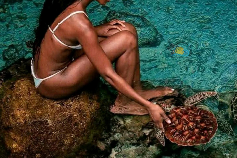 Sansibar: Schwimme mit Schildkröten &amp; transparentem Kajak mit Drohne