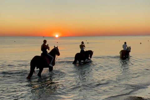 Djerba: Individual Horse Riding in the Blue Lagoon.