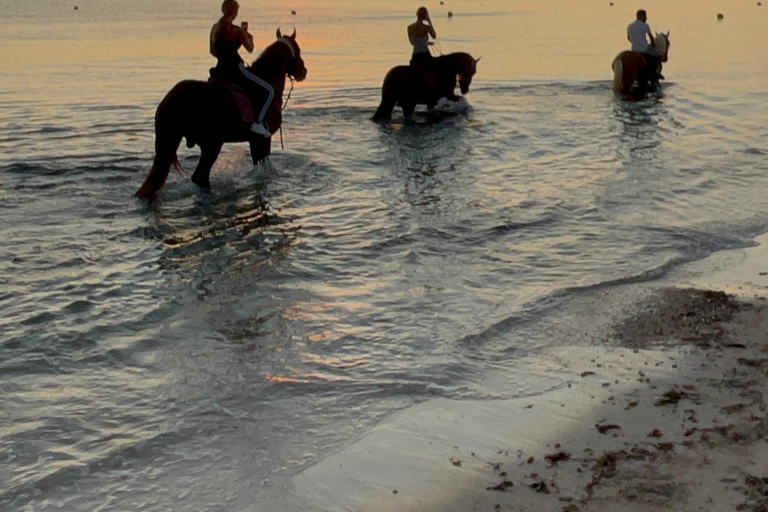 Djerba: Individual Horse Riding in the Blue Lagoon.