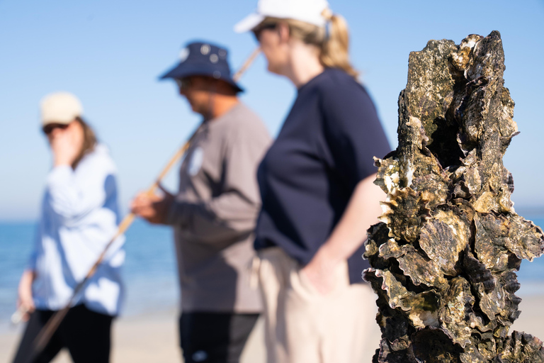 Stradbroke Island: First Nations Oyster Farm Tour & Tasting