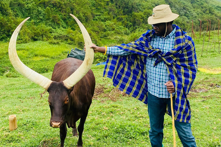 Kigali: Bigogwe, Lake Kivu & Dian Fossey Campus 2-Day Tour