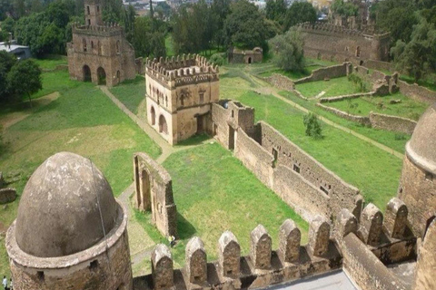 Ethiopia: 5-Day Ultimate Safari Expedition Guided Tour