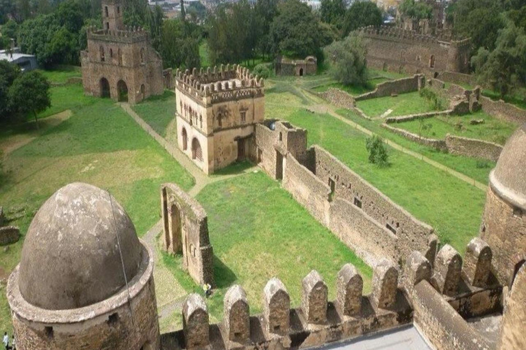 Ethiopia: 5-Day Ultimate Safari Expedition Guided Tour