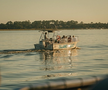 Hilton Head Island: Dolphin Cruise & Nature Tour