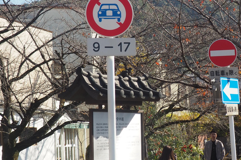 E-Bike Tour in Kyoto with Asuka, Japanese graduate student