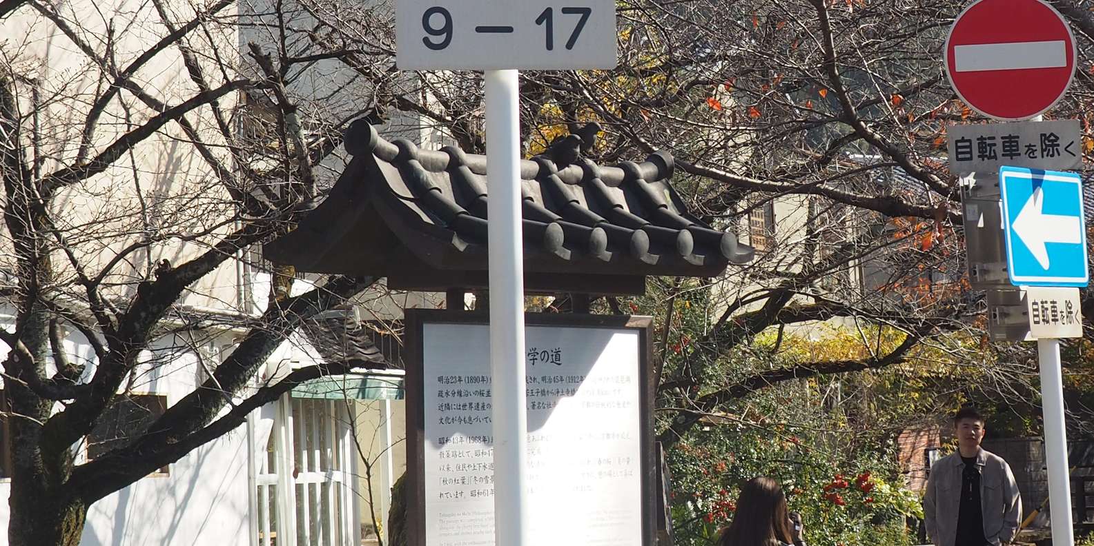 Kyoto experience — temples, geisha, bamboo grove — image 59