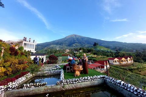 YOGYAKARTA: SILANCUR HOOGLAND/NEPAL VAN JAVA/BOROBUDUR