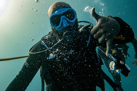 EXCURSIÓN PRIVADA CON DELFINES Y SNORKEL EN LA ISLA DE MNEMBA CON ALMUERZO