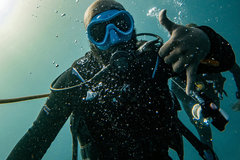 EXCURSIÓN PRIVADA CON DELFINES Y SNORKEL EN LA ISLA DE MNEMBA CON ALMUERZO
